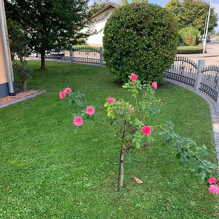Haus Rosa Hébergement de vacances Mullheim (Baden-Wurttemberg)