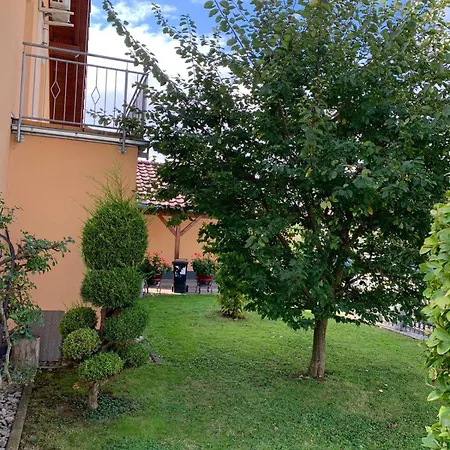 Hébergement de vacances Haus Rosa Mullheim (Baden-Wurttemberg)